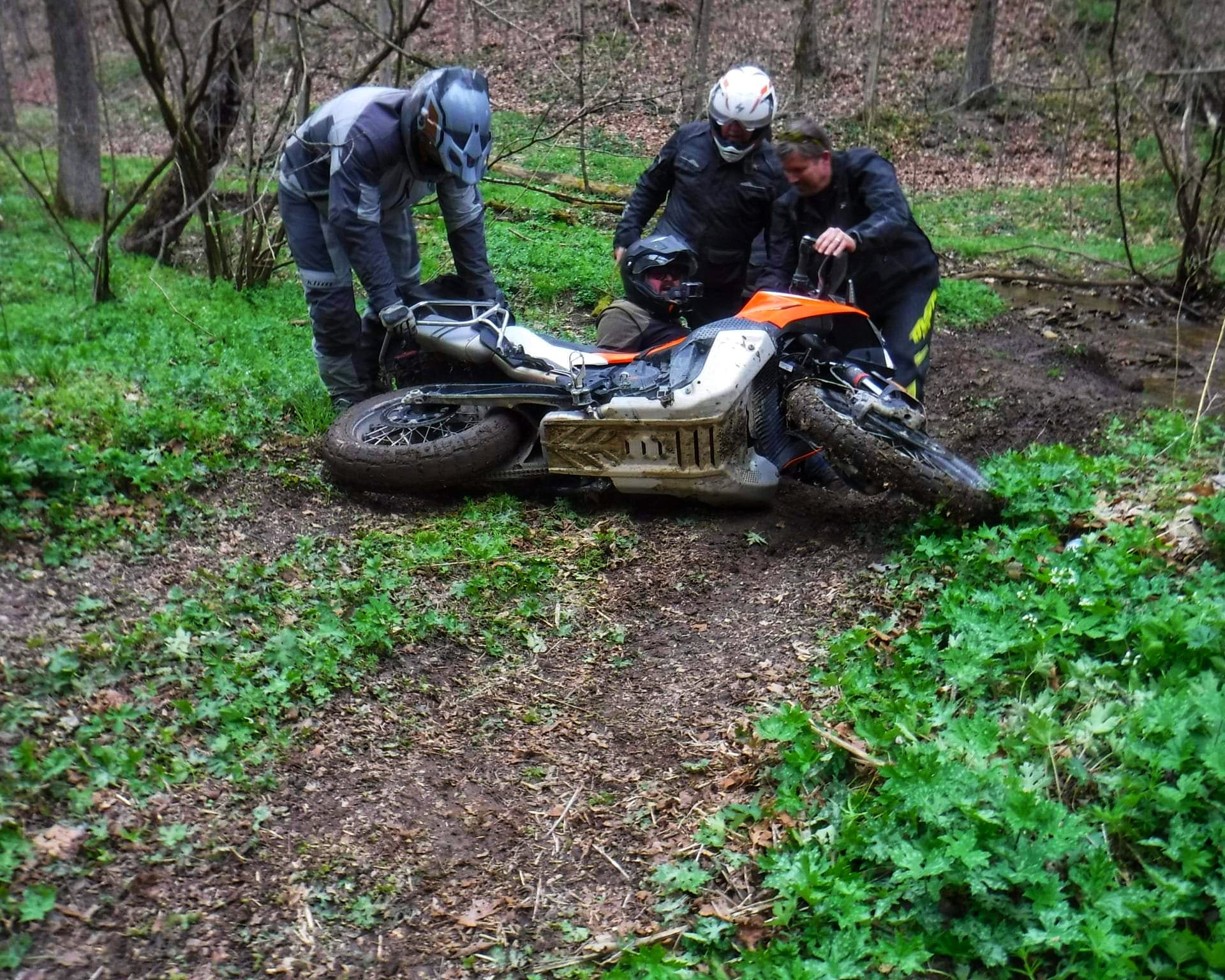 Fools Ride trails